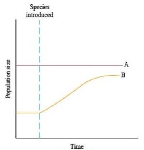 Which ecological relationship is best represented by this graph?

Note: Species A's population rem