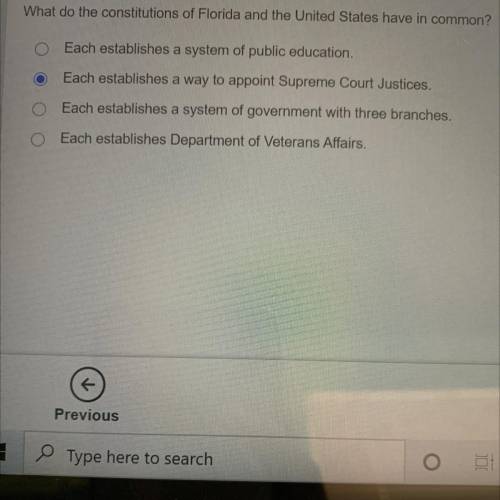 What do the constitutions of Florida and the United States have in common?

Each establishes a sys