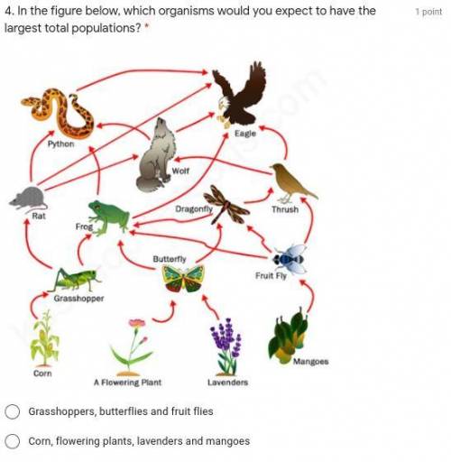 In the figure below, which organisms would you expect to have the largest total populations?