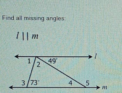 Find all missing angles​