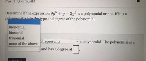 Please help! The given expression represents a polynomial. The polynomial is a __ and has a degree