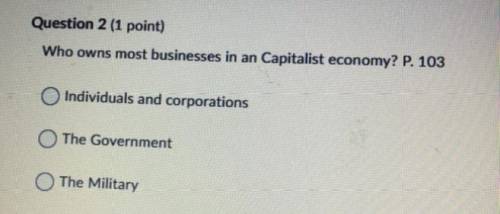 Who owns most businesses in an Capitalist economy? P.

Individuals and corporations
The Government