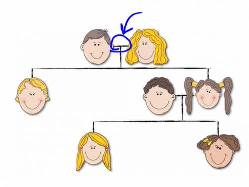 What type of relationship is circled in this pedigree?

A. Brother and Sister
B. Aunt and Uncle
C.
