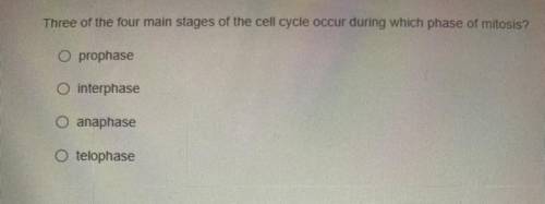 Three of the four main stages of the cell cycle occur during which phase of mitosis?

A. Prophase