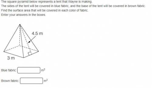The square pyramid below represents a tent that Wayne is making.

The sides of the tent will be co