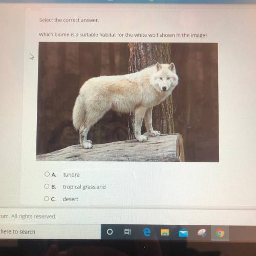 Which biome is a suitable for the withe wolf shown in the image?