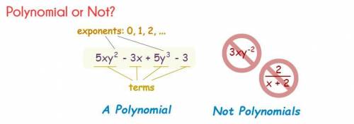 How do I solve polynomials