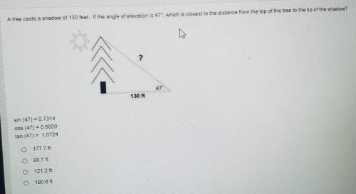 I need help please, I dont get it​