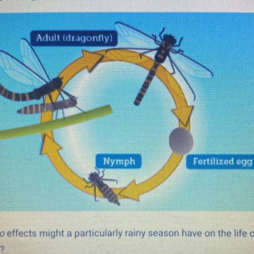 HELP ASAP!!!

The diagram shows the lifecycle of a dragonfly. The adult stage occurs out of water,