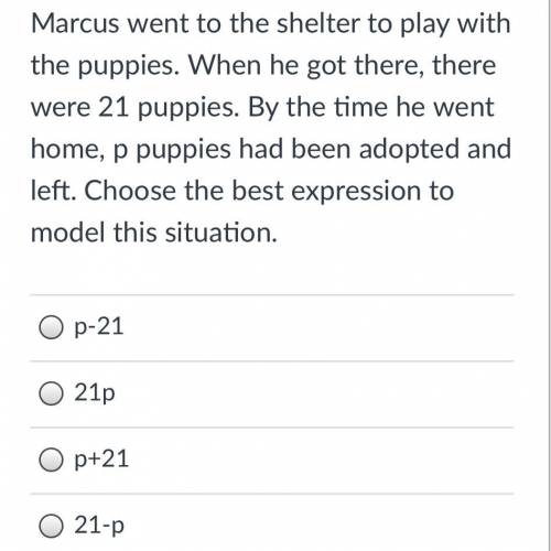 Marcus went to the shelter to play with the puppies. When he got there, there were 21 puppies. By t