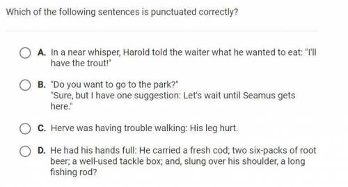 Which of the following sentences is punctuated correctly?