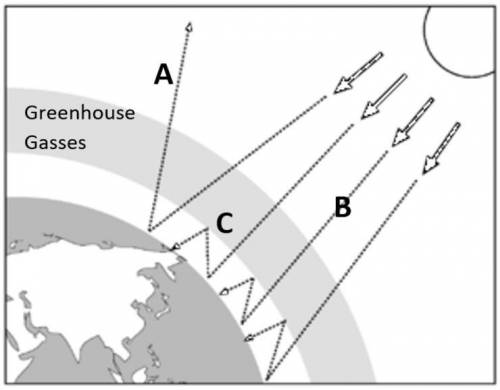The diagram below shows the same model of the greenhouse effect... Which process is NOT AFFECTED by