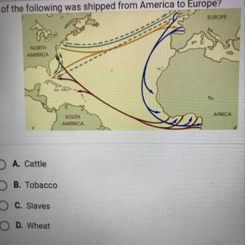 Which of the following was shipped from America to Europe?

A. Cattle
B. Tobacco
C. Slaves
D. Whea
