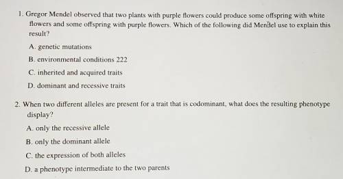 Please help with these 2 I need the answer in 5 minutes ​
