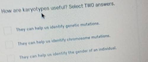 How are karyotypes useful? Select two answers

They can help us identity genetic mutationsThey can