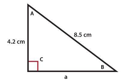 Which of the following are the sines for the angles of this triangle? Select all that apply.