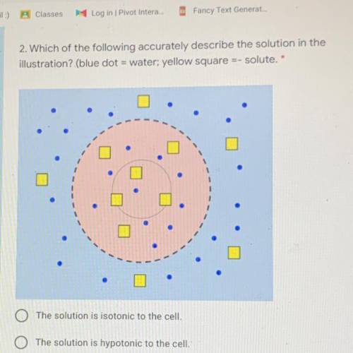 Which of the following accurately describe the solution in the

illustration? (blue dot = water; y