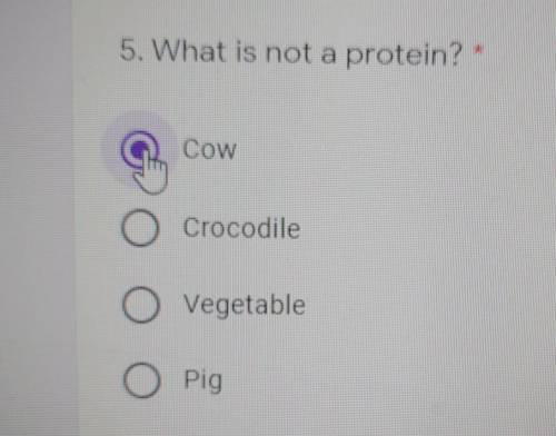 All of them are protein? I don't get it​