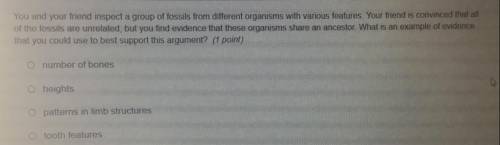 Please answer the question for the points (10)