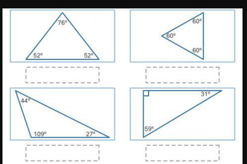 Label Each triangle.
