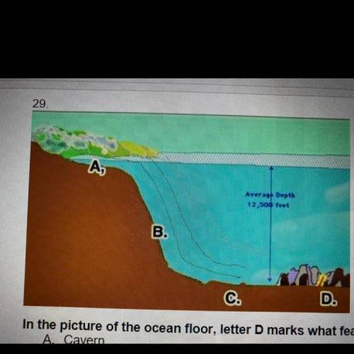 In the picture of the ocean floor, letter D marks what feature?

A Cavern
B. Rift zone
C. Deep oce