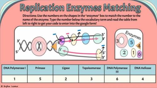 Enzyme matching on DNA! correct my work?