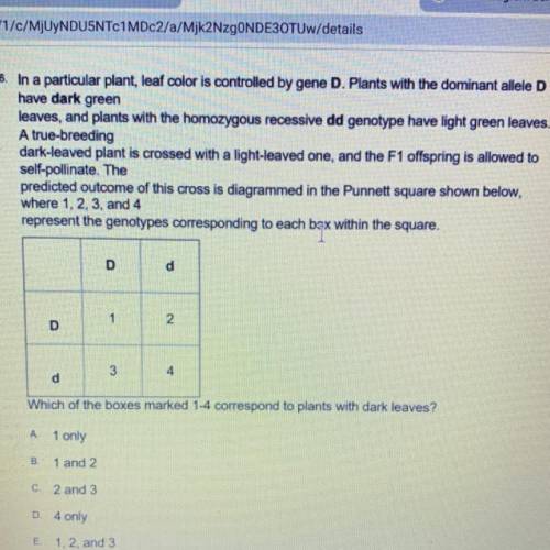 Pls help with this quiz