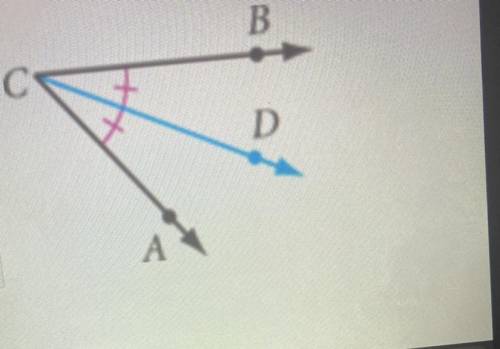 Name the two congruent angles.
