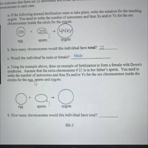 Please help with b the last question