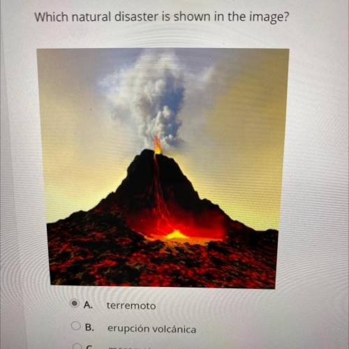 Which natural disaster is shown in the image?

Ο Α.
terremoto
OB.
erupción volcánica
OC.
maremoto