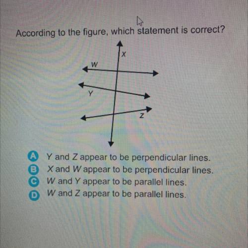 According to the figure, which statement is correct?

Y and Z appear to be perpendicular lines,
X