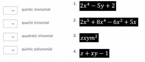 Match the polynomial to the term that best describes it.