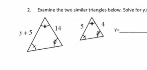 Examine the two similar triangles below solve for y need by 11:59 for final exam