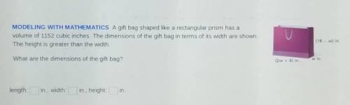Find the dimensions of the gift bag​