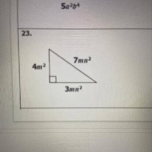 Express the area of the triangle as a monomial