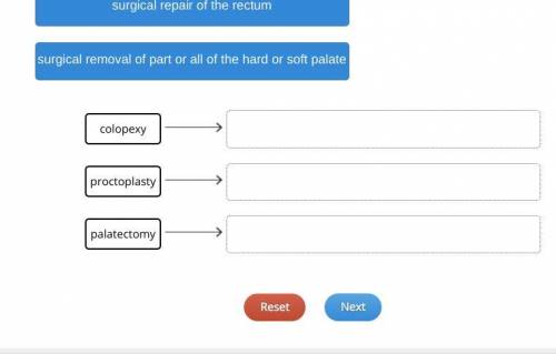 Match the surgeries to their descriptions.