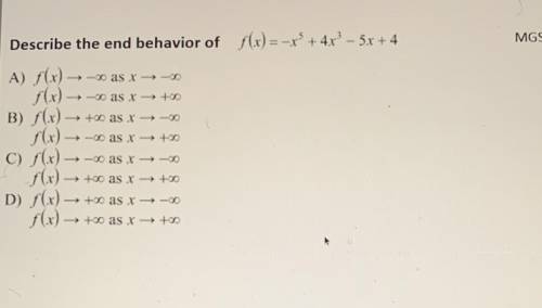 Plzzz plzzz can someone help me with the answer to this end behavior problem