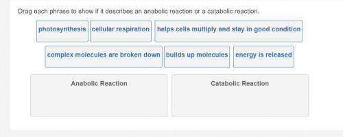 Drag each phrase to show if it describes an anabolic reaction or a catabolic reaction.