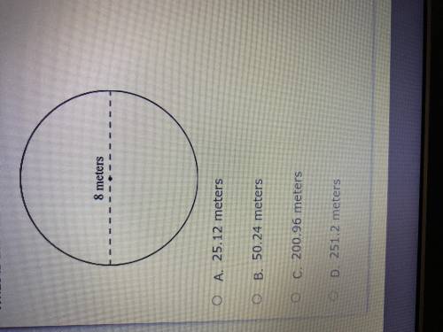 What is the circumference of the circle shown below?help plzzz.
