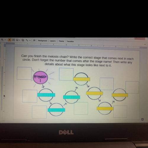 Can you finish the meiosis chain? Write the correct stage that comes next in each

circle. Don't f