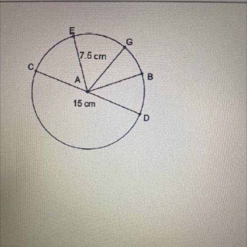What’s is the circumference of the circle pictured? use 3.14 to represent x.