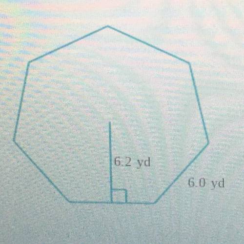 A regular heptagon has a side of approximately 6.0 yd and an apothem of approximately 6.2 yd.

Fin