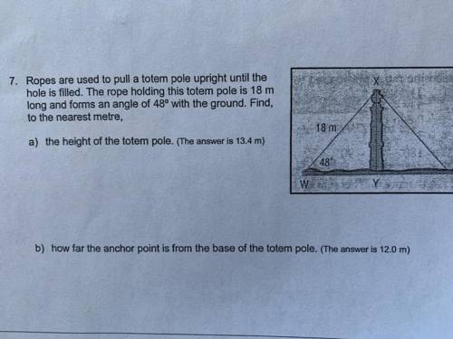 I need help for this question.