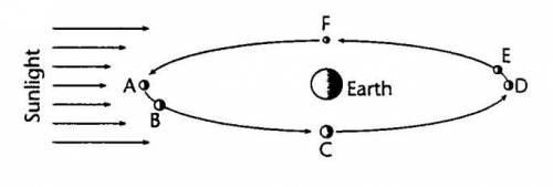 The diagram below shows the moon at several places in it's orbit around the Earth... At which locat