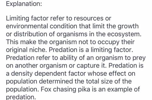 Which limiting factor is being displayed when a fox chases after a pika