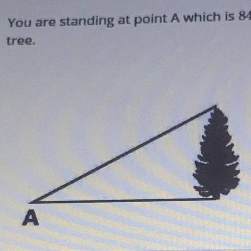 HELP

you are standing at point A which is 84 feet away from a tree, and you determine that the an