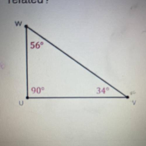 How are the acute angles of the right triangle below
related?