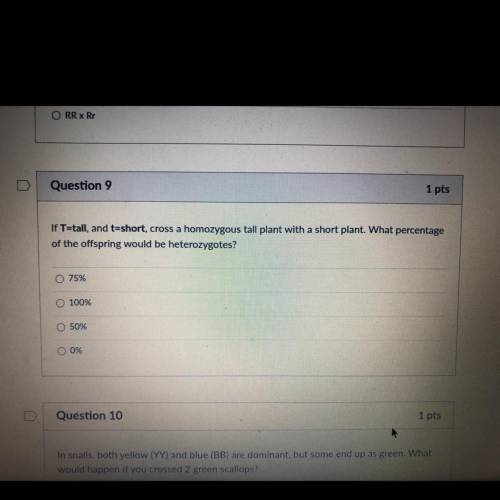 Can someome give me tje answer?
