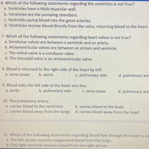 Med Term Questions pretty easy