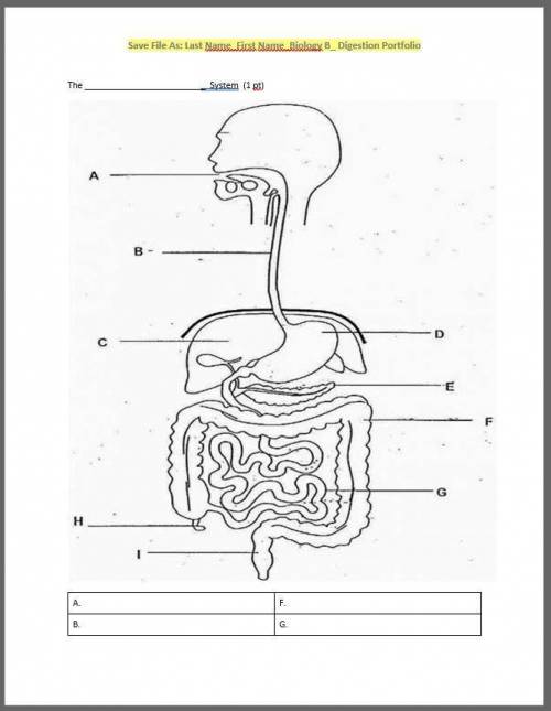 Lesson 5: Analyzing Digestion
Unit 2: The Human Body